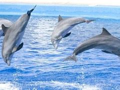 -福州罗源湾海洋世界旅游区