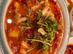 -杨氏青龙虾·羊蝎子(珠江路店)