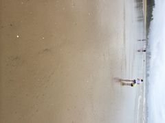 三亚湾海居铂尔曼度假酒店-三亚湾海居铂尔曼度假酒店