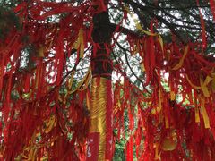 -函谷关历史文化旅游区