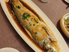翘嘴鱼-羲和雅苑•北京烤鸭(瑞吉店)