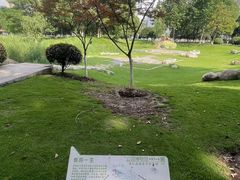 -后襄河公园