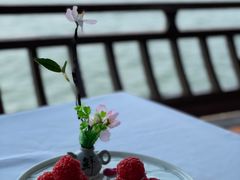 -柳莺湖上·湖景餐厅·江南菜(西湖店)