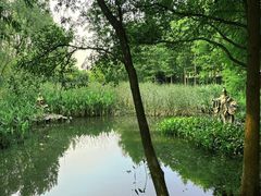 -西溪国家湿地公园