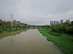 -广东花都湖国家湿地公园