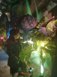 -恐龙探索乐园(磁器口店)