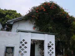 -凤凰御元艺术基地
