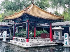 -趵突泉景区