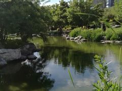 -大望京公园