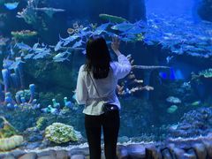 -华夏文旅海洋公园