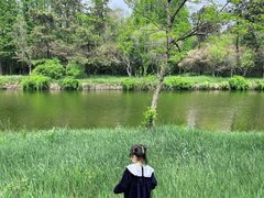 -日照海滨国家森林公园