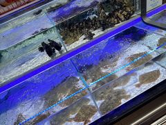 -永辉超市(鲁谷店)