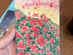 -猫的天空之城概念书店(苏州平江店)