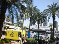 -星巴克臻选(深圳海上世界店)