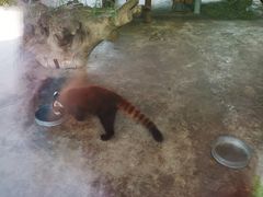 -石家庄市动物园