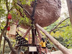 -天门沟九州驿站树上汤泉