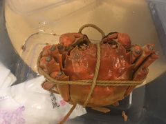 -杜六房(大沽路店)