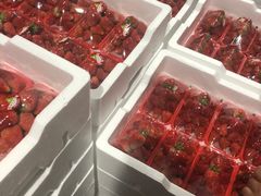 -菜园坝水果市场