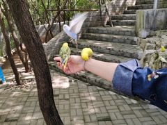 -开元溶洞