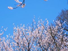 -四明山国家森林公园