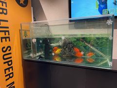 -超级猩猩健身·团课(国贸店)