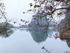 -星湖旅游景区七星岩