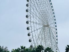 -凤岭儿童公园