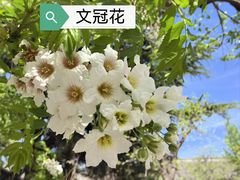 -北京石刻艺术博物馆(五塔寺)