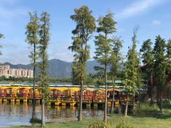 -飞来湖湿地公园