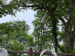 -巢湖姥山岛