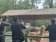 -贵州森林野生动物园