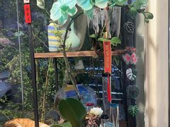 -弗劳尔花艺坊(龙涛店)