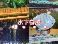 -萌宠奇缘(荣鼎店)