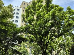 -徐家汇源景区-衡山公园