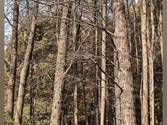 -人民公园-相亲角