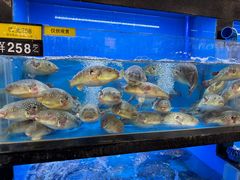 -莆鑫海鲜城(浏河店)