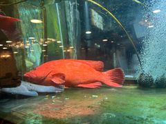 -叙亨轩海鲜火锅