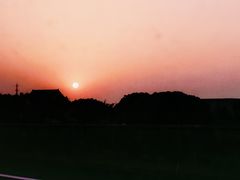 -春花秋色城市公园