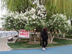 -裕华世纪公园