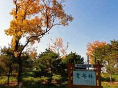 -东郊湿地公园