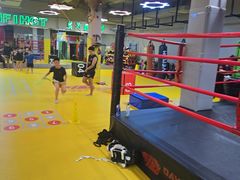 -大焱搏击·泰拳·拳击俱乐部(大柏树店)