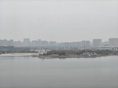 -九龙湖公园
