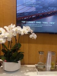 点击看大图 -Yestar重庆艺星医疗美容医院