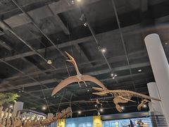 -国家自然博物馆