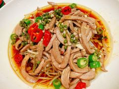 -丁老爷子苏香圆