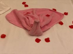 -美丽田园Beauty Farm