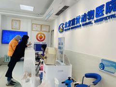 -北京观赏动物医院·24小时大型综合·猫专科·异宠专科