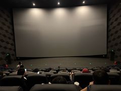 -CGV影城(卓悦中心 IMAX激光店)