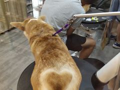 -PETKIT小佩宠物(古北店)