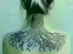 点击看大图 -香薇妮丝女子减肥院